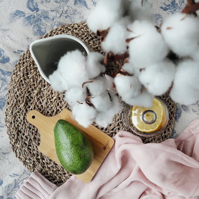 5 Plantas Naturais para Afastar Pernilongos da Sua Casa