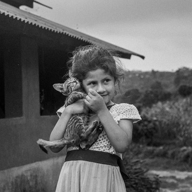 5 Sinais de que Seu Gato Está Tentando Avisá-lo sobre Algo