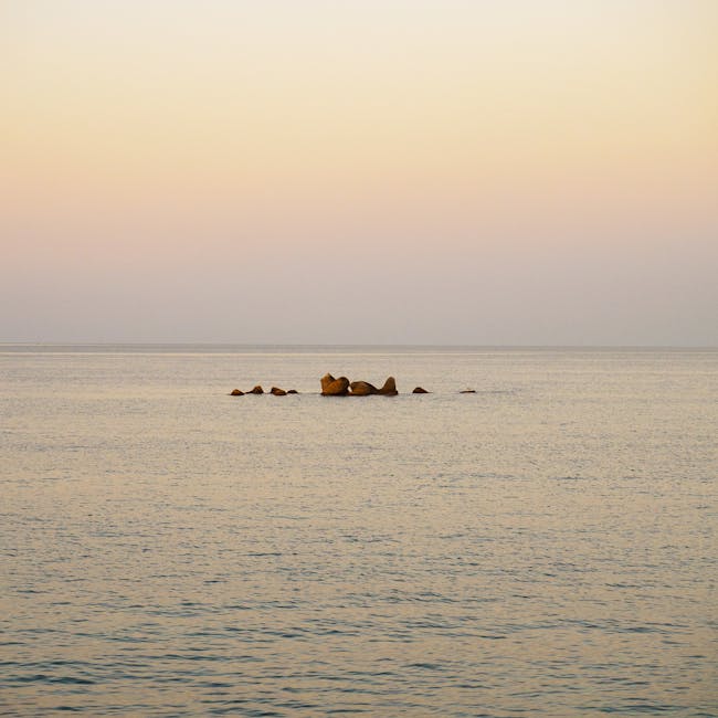 Apenas 10% das pessoas conseguem ver o que há de errado nesta imagem