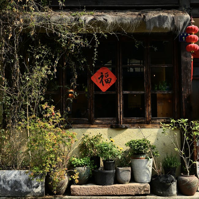 O Impacto do Sal na Saúde: O que Acontece com o Seu Corpo quando Você Reduz ou Para de Consumir