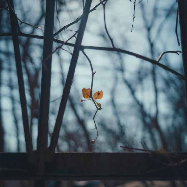 O Que a Psicologia Diz Sobre as Pessoas que Falam Sozinhas