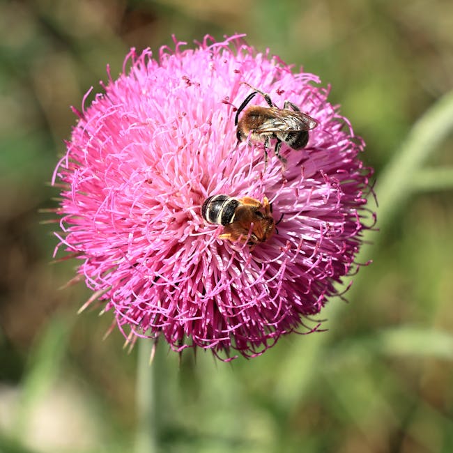 A Verdade Sobre o Mel que a Indústria Não Quer que Você Saiba