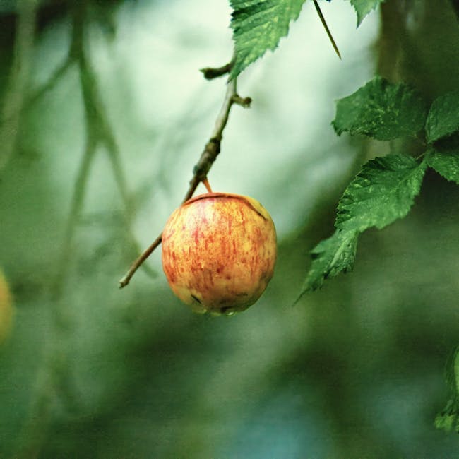 O que acontece com o seu corpo quando você para de consumir vinagre